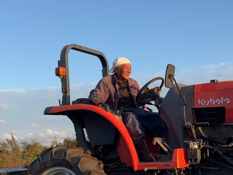 【農家体験！】にんにくの王様　青森にんに『白玉王』の“生”にんにく特大玉2kg
「生にんにく、食べたことありますか？」【贈答用～特別に感謝している人への特別な贈り物～】