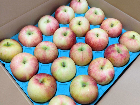 【旬のおまかせ】家庭用葉とらずりんご（無選別）約4.5kg(12-26玉)1~3種類 #NAX0B045