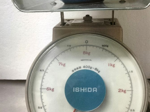 【訳あり】兵庫産　夏武輝 大玉スイカ1玉　ご家庭用⑤