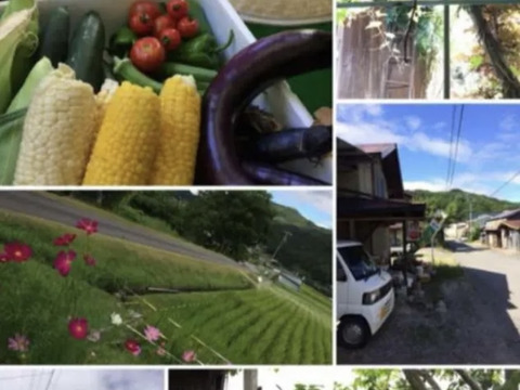 南信州高原あま〜い！とうもろこし白3黄色3計6本　朝つみ！