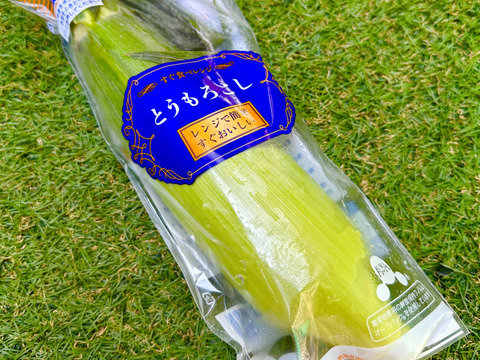 【夏ギフト】すぐに発送！A品大箱『白いクリスピーホワイト』鮮度保持フィルムで全国発送でも採りたてのトウモロコシを！