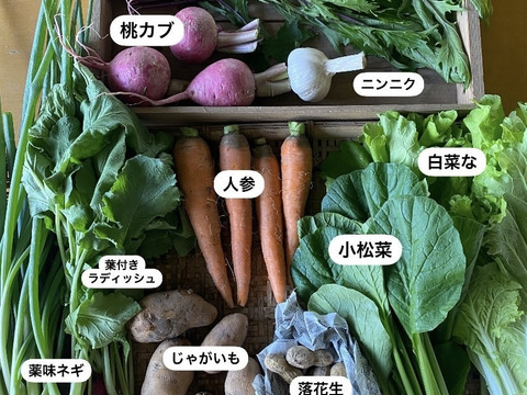 【数量限定】最旬の1品おまけ付！農薬不使用野菜セット(6品)/レシピ付き