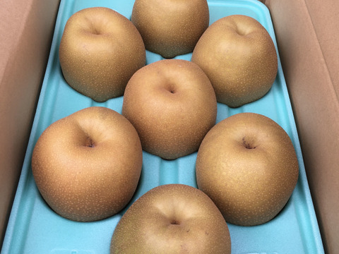 栃木県産 ご家庭用 王秋梨　5kg 6〜9玉入り