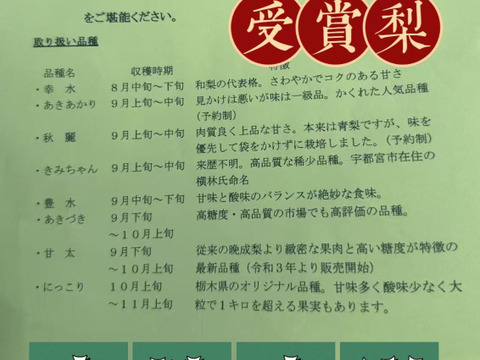 酸味と甘みが最高豊水梨栃木県産3㎏（6－9玉）