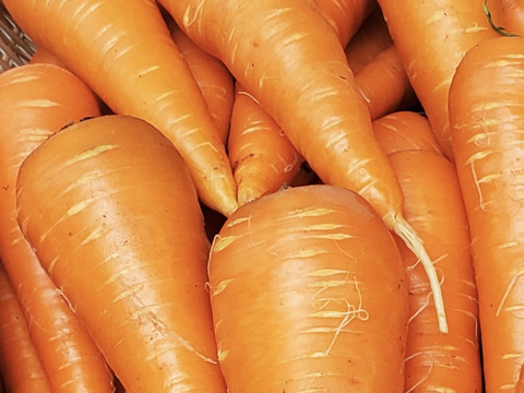 木須農園産　甘いにんじん　（京くれない人参）　　5kg