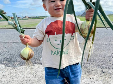 【農家直送】焼いて甘い！淡路島産 大玉玉ねぎ　ターザン5kg