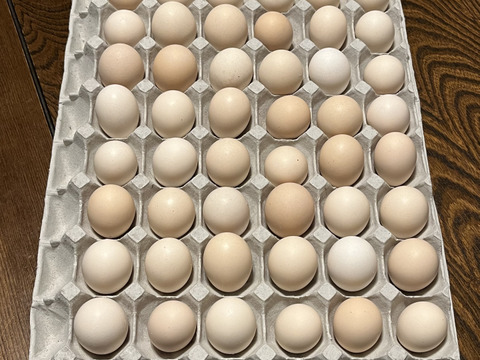 烏骨鶏のたまご42個＋割れ補償6個
合計48個がこの価格‼️