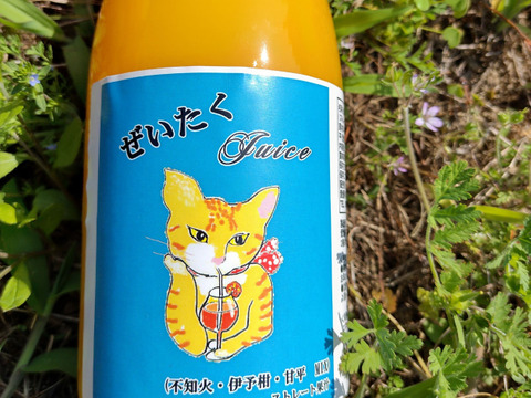 ぜいたく❣『甘平＆不知火みかんのMIXジュース』（720ml×4本）