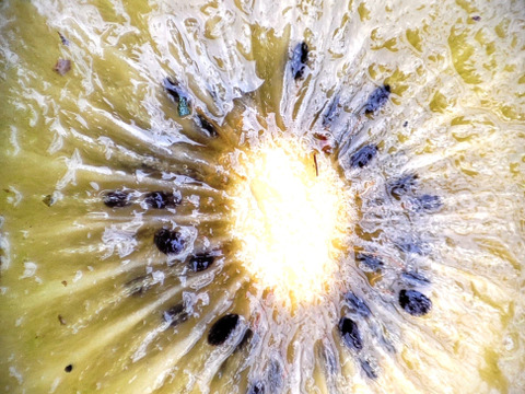 体が喜ぶ♬自然農法　キウイフルーツ 　“東京ゴールド”(農薬・肥料不使用）　1ｋｇ