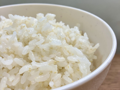 【新米】令和7年度★一等米★こだわり抜いて育てた有機米　”木魂米”（きぬむすめ白米約9キロ）