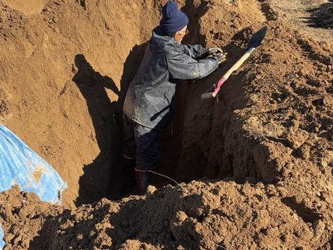 【産地箱詰め】形は不揃い、粘りは１級品。自然薯カット１㎏箱