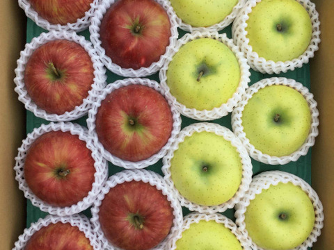 【年内発送12/18(金)18時ご注文分まで🍎】王道の組み合わせ!🍎葉とらずフジ🍏王林 9kg