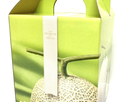 【冬ギフト】岡山県産マスクメロン 1玉（1.5kg~)