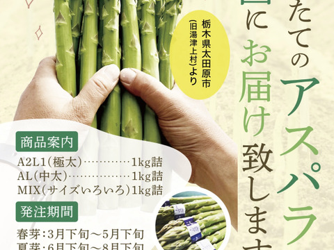 ⚠️予約品⚠️【アスパラガス春芽】
⭐️大人気！極上極太『極み』1キロ
※約20〜２５本入り