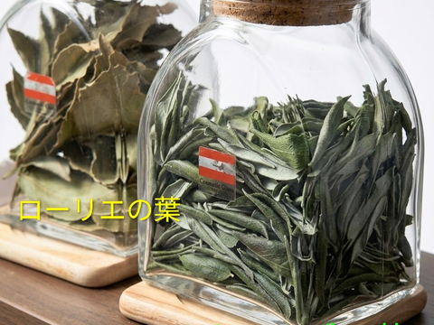 オリーブ生葉100枚  オリーブリーフ🌿オーガンジー袋入り🌿葉っぱ部のみ🌿オリーブ茶 オリーブティー ハーブティー☆自然栽培 🏣ゆうパック