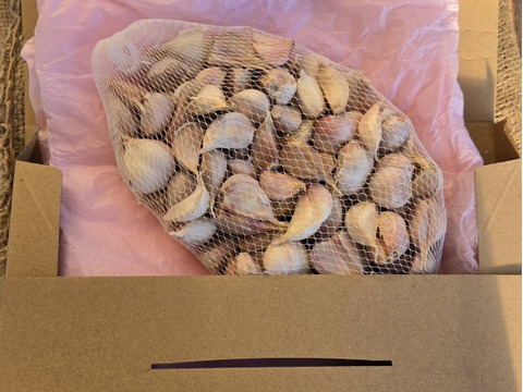 国産にんにく 500g　ポスト投函