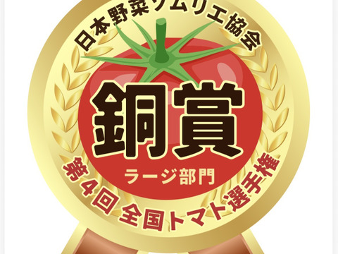 銀丸山口トマト　大箱