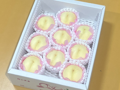🍑おかやまの白桃 中箱【6〜11個】【ご自宅用】：岡山県産の白桃｜食べ