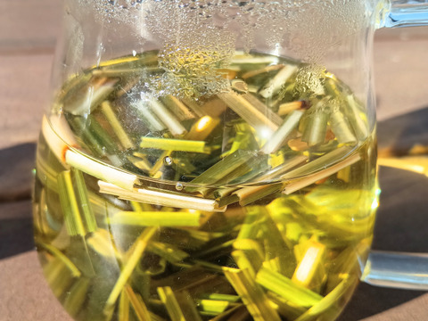 体と心に沁み渡る豊かな香りと味わい！ハーブティーリーフ30g（農薬化学肥料不使用）のっぷいのレモングラス葉と茎