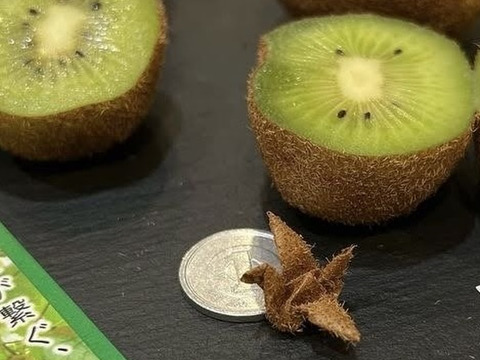【10％増量中】えっ！これがキウイ？ あま〜い〈みつばちキウイ®〉家庭用 500g+50g（6～11個）農薬・化学肥料不使用