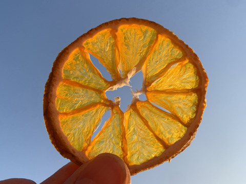 【訳あり】砂糖不使用なのに甘〜い！ドライみかん 100g〈農薬・化学肥料不使用〉