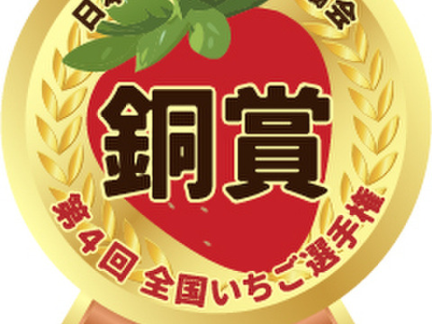 【完熟プレミアムいちご】あまりん２５０ｇ×２パックーDXパックー