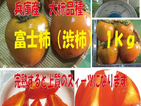【最短出荷】兵庫産　大柿品種の富士柿（渋柿）1ｋｇ