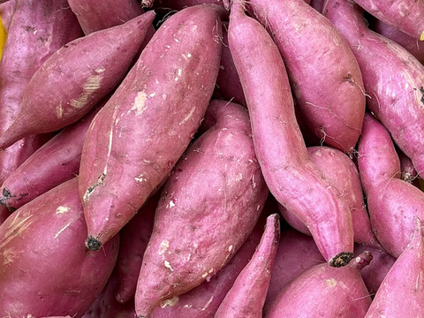 訳ありでもホックリサラリ！新品種「ゆきこまち」色々なサイズ入り  5キロ箱