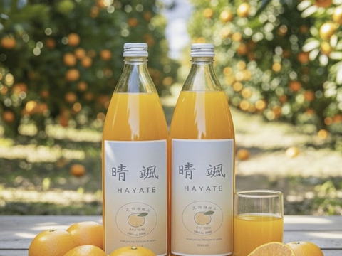 【数量限定】希少ブランドみかん100％ジュース　1L✕2本