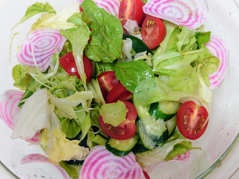 【サラダビーツ】1キロ♥️葉から根まで食べる野菜😋🌱♥️②種入ります🍥