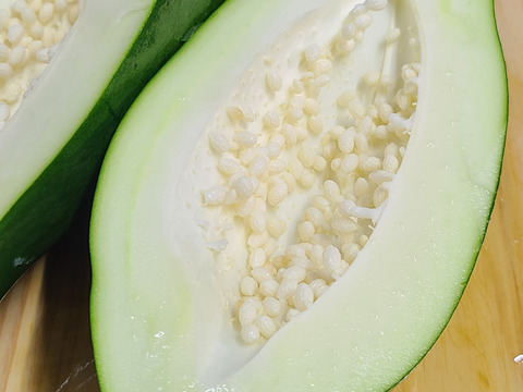 石川県産の青パパイヤ【2kg】