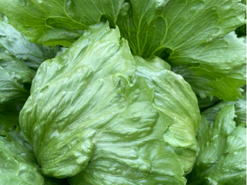 【丹波産】野菜を食べよう‼️冬の野菜詰め合わせセット‼️