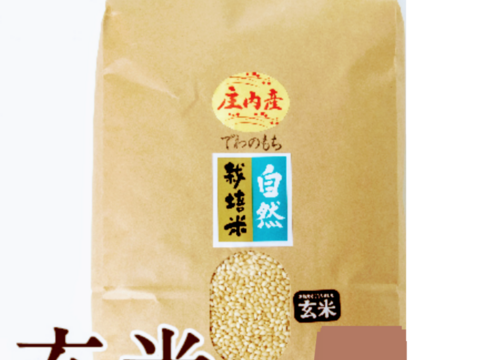 【 玄米・10kg 】 自然栽培 でわのもち(もち米) 玄米(5kg×2袋)