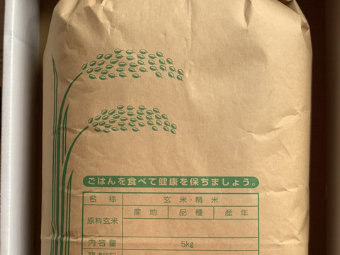 ⭐️ 熊本県産 お米10kg【品種:森のくまさん】