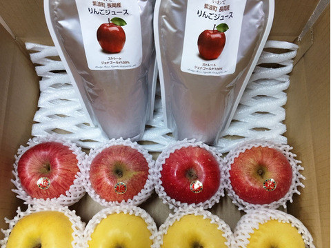 【岩手・紫波町】🍎🍏特別栽培「サンふじ」「はるか」「ジョナゴールド100％ジュース1L×2」の詰め合わせ（ご家庭用）