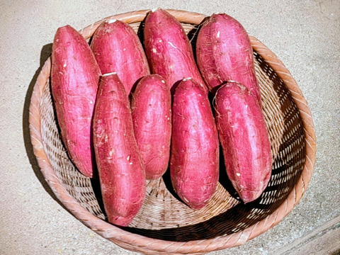 シルクスイート（２・５Kg）＆安納芋（２・５Kg）