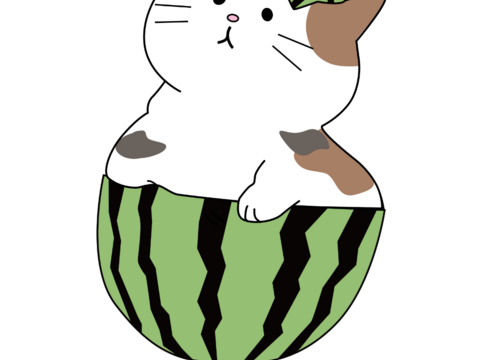 訳あり 滝沢スイカ 2玉(1玉6～9キロ)