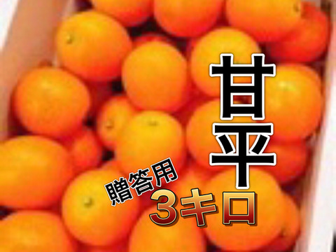 【高級柑橘♪喜ばれるプレゼント】甘平　愛媛県興居島産みかん　贈答用　3キロ