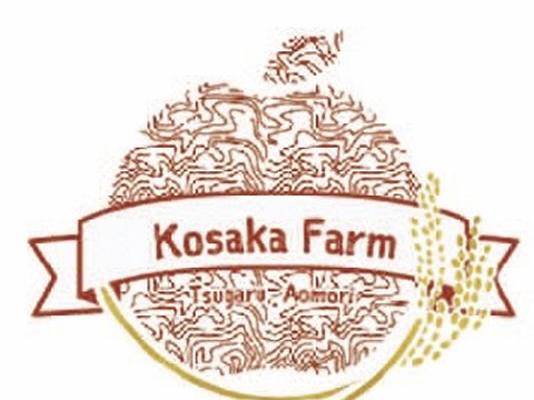 青森県産米　まっしぐら10㎏　玄米or白米　令和７年産