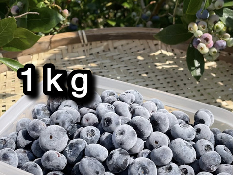 【品種：パトリオット】冷凍ブルーベリー•1kg（道産自然栽培）※まとめ買い対応