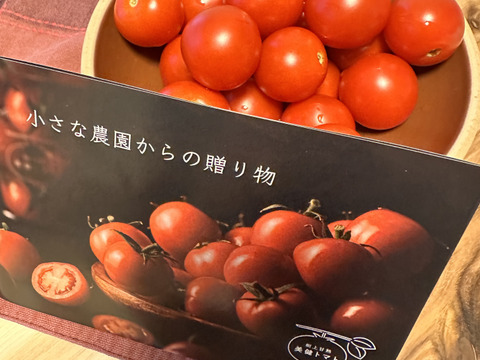 【朝どれ】本当に甘い！美健トマト®︎（1.0キロ）　※特別価格で販売中