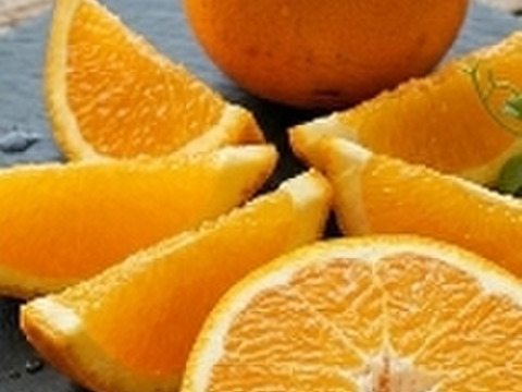 3月）春爛漫よくばりセット