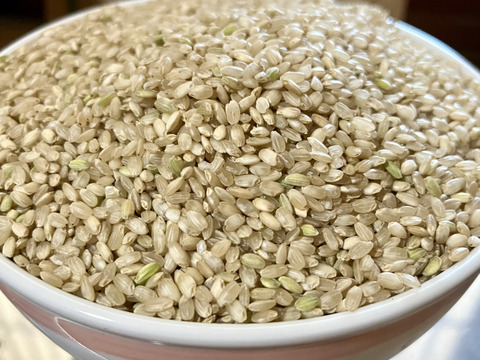 【年末セール】【令和7年新米】自然栽培「ミズホチカラ」玄米　５ｋｇ【冬ギフト】