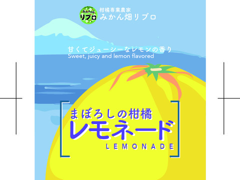 まぼろしの柑橘   『レモネード』　2kg   数量限定