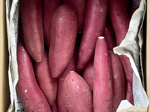 ちびちびサイズでも滑らか‼︎「シルクスイート」 2キロ箱