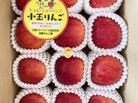 まるごとガブリっ！奥州ロマン☆小玉・食べきりサイズりんご【岩手江刺産】2㎏
