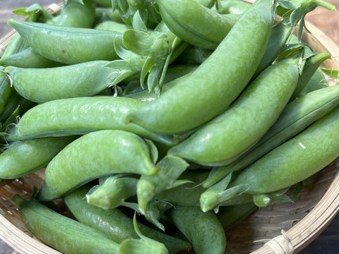 ≪予約商品≫☆有機JAS認証☆スナップえんどう１kg【5月発送予定】