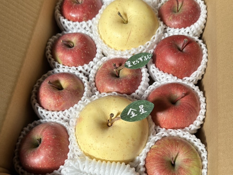 【縁起物】🍎葉とらずふじ⭐️金星（９～１１玉）約３キロ箱 ID179783