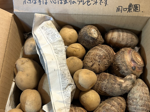 【すぐ出荷出来ます】
春まで保存でます。秋の新じゃが
【おいしさぎっしり　新じゃが芋】
６０サイズ箱詰め　２Ｋｇ以上
畑から直送　　土付きですので保存が利きます