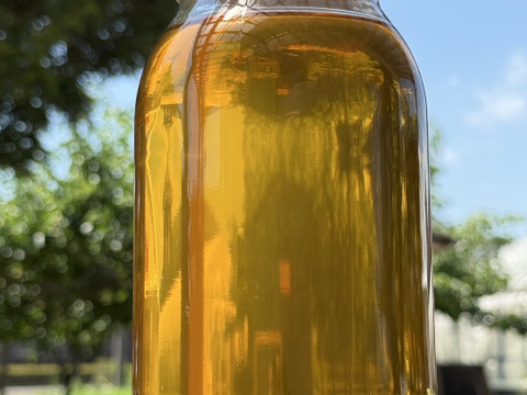 完熟梅の蜂蜜シロップ 大瓶 １ℓ　梅ジュース・ソーダ割りに　福島県須賀川市の希少なハチミツ【伝右衛門はちみつ】使用